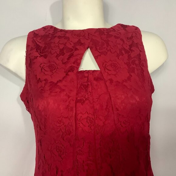 Danny & Nicole Red Sleeveless Lace Red Dress Back Zip Fit & Flare Various NWT - Picture 5 of 6